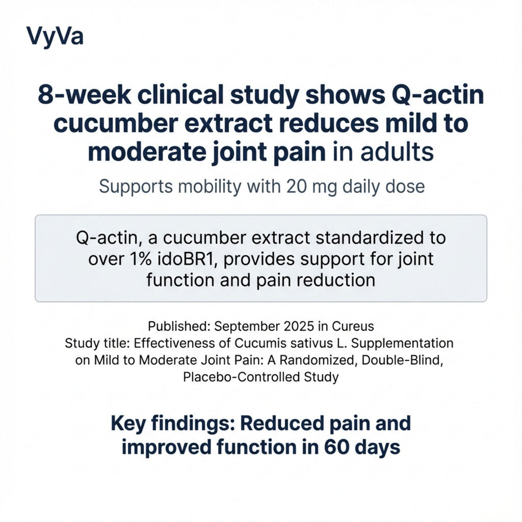 30oz Pasta bowls set-8" serving bowls-salad bowl set of 4-ceramic Dinner bowls